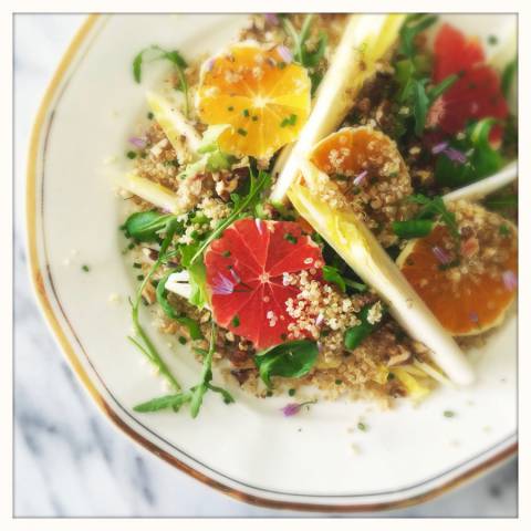 Belgian Endive Salad with Orange and Walnuts