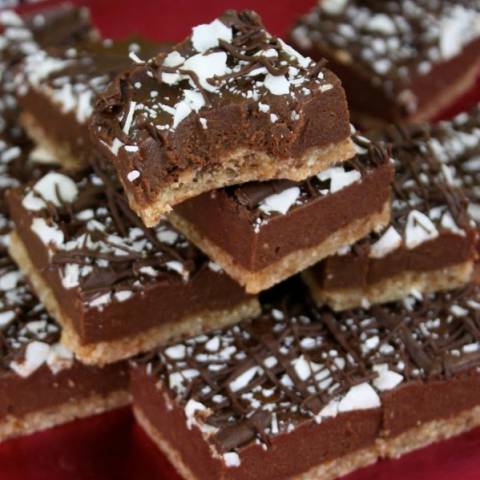 Raw Vegan Chewy Chocolate Squares