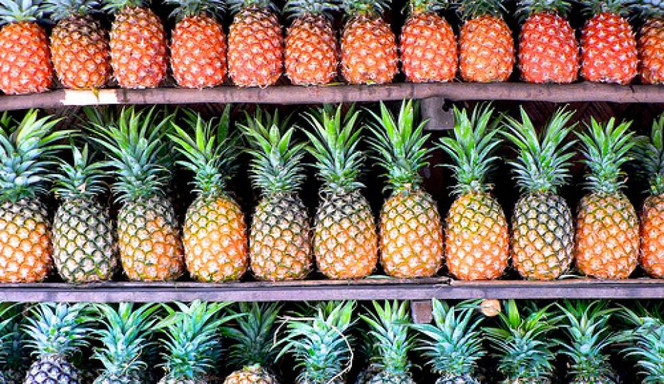 Natuurlijke vetverbranders: Top 12 Hydraterende Groenten & Fruit om Gewicht te Verliezen - deel 2