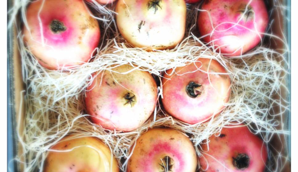 Wat is de Low Fat Raw Vegan Levensstijl of 80/10/10?
