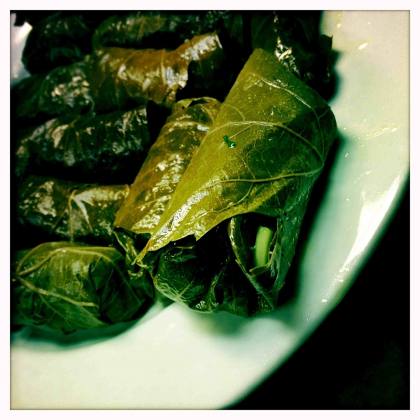 Raw Vegan Dolmades at Living Light Culinary Institute