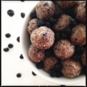Raw Vegan Coconut Blueberry Truffles