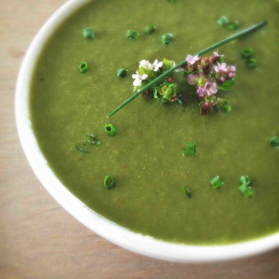 Raw Vegan Soup Recipe: Garden Blend Soup