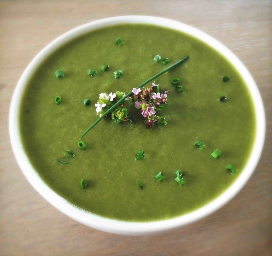 Raw Vegan Soup Recipe: Garden Blend Soup